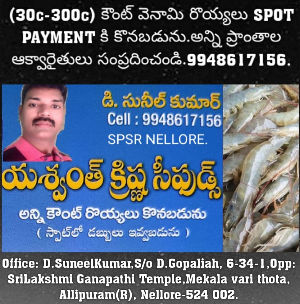 Yeshwanth seafood in Nellore 
